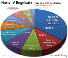 So setzt sich der Hartz IV-Regelsatz für eine alleinstehende Person zusammen.