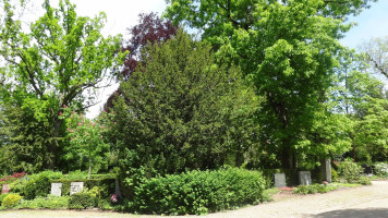 Auf dem Coburger Friedhof ist eine Vielzahl verschiedener Baumarten zu finden.