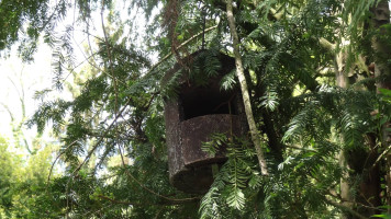 Auch die kleinen Bewohner des Friedhofs sollen sich wohlfühlen.