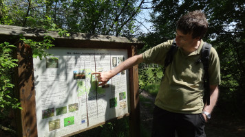 Herr Beyer erläutert uns die Flora und Fauna des Rottenbacher Moors.