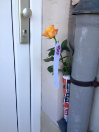 Wer nicht persönlich anzutreffen war, erhielt natürlich trotzdem auch eine Rose